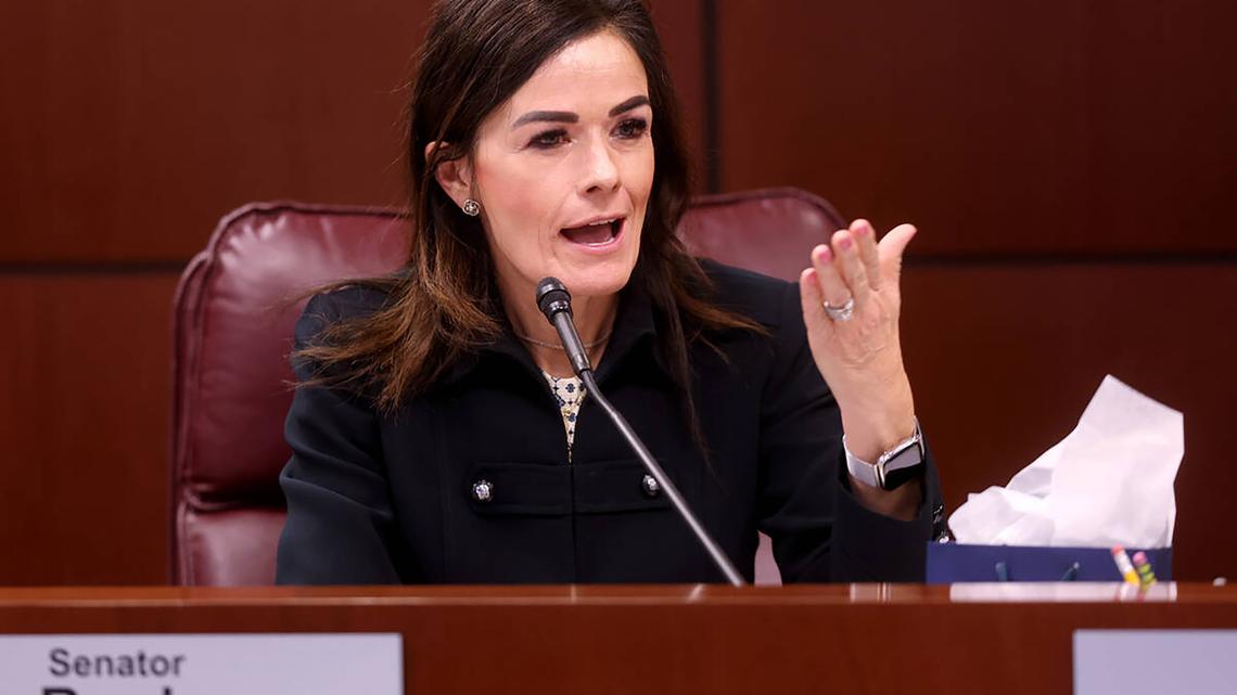 Nevada state Sen. Carrie Ann Buck, a Henderson Republican, is challenging Democratic Rep. Dina Titus in the state's 1st District. (K.M. Cannon/Las Vegas Review-Journal/TNS)