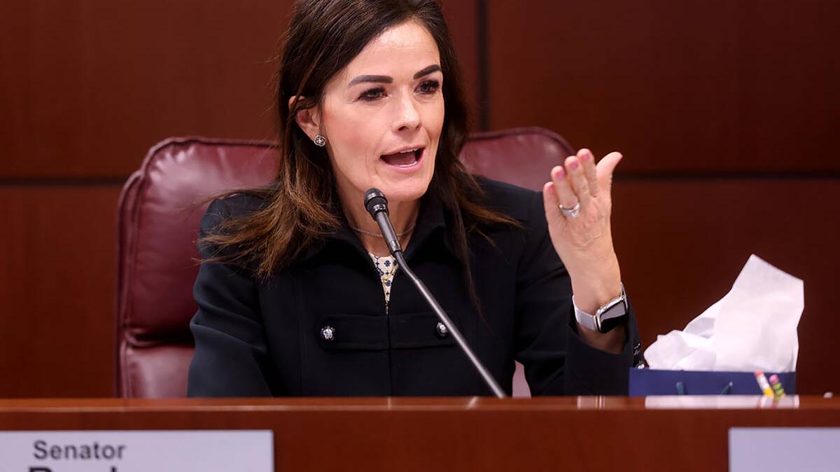 Nevada state Sen. Carrie Ann Buck, a Henderson Republican, is challenging Democratic Rep. Dina Titus in the state's 1st District. (K.M. Cannon/Las Vegas Review-Journal/TNS)