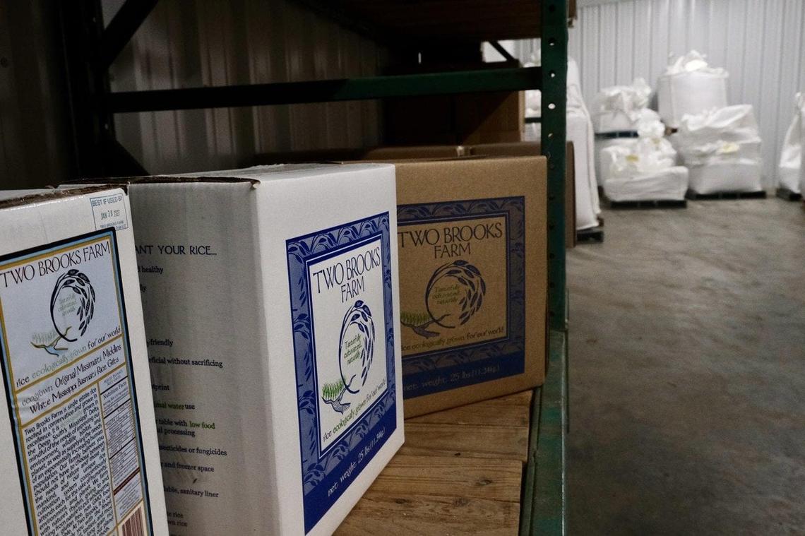  Elizabeth Hewitt for Reasons to be Cheerful 