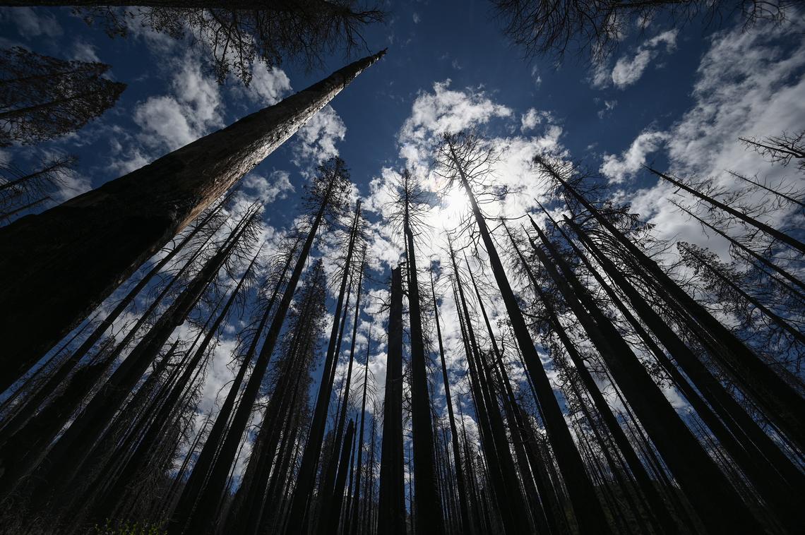 Robyn Beck/AFP/Getty Images North America/TNS