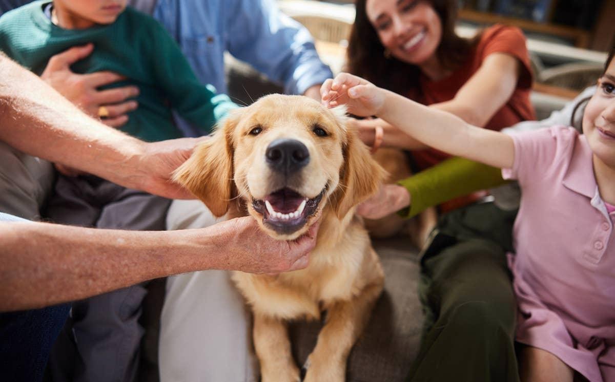  A dog with its favorite people.