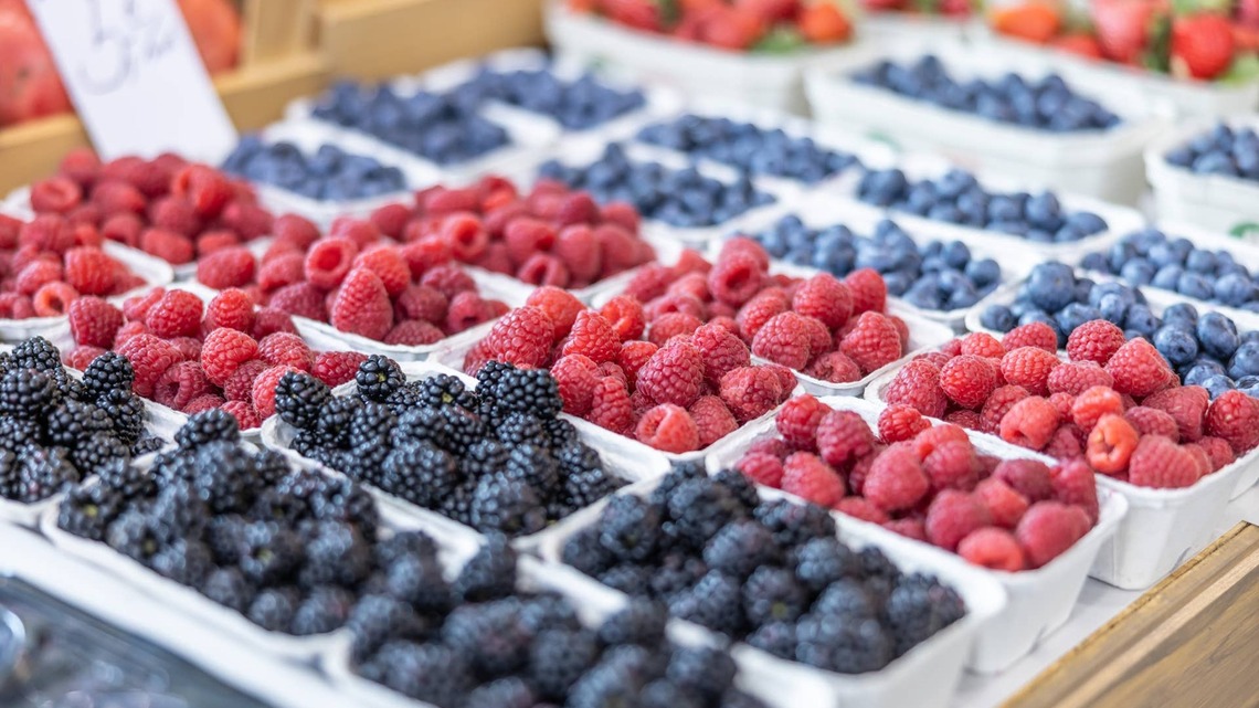 Recall Issued for Blueberries, Mixed Berries Due to E. Coli Risk 