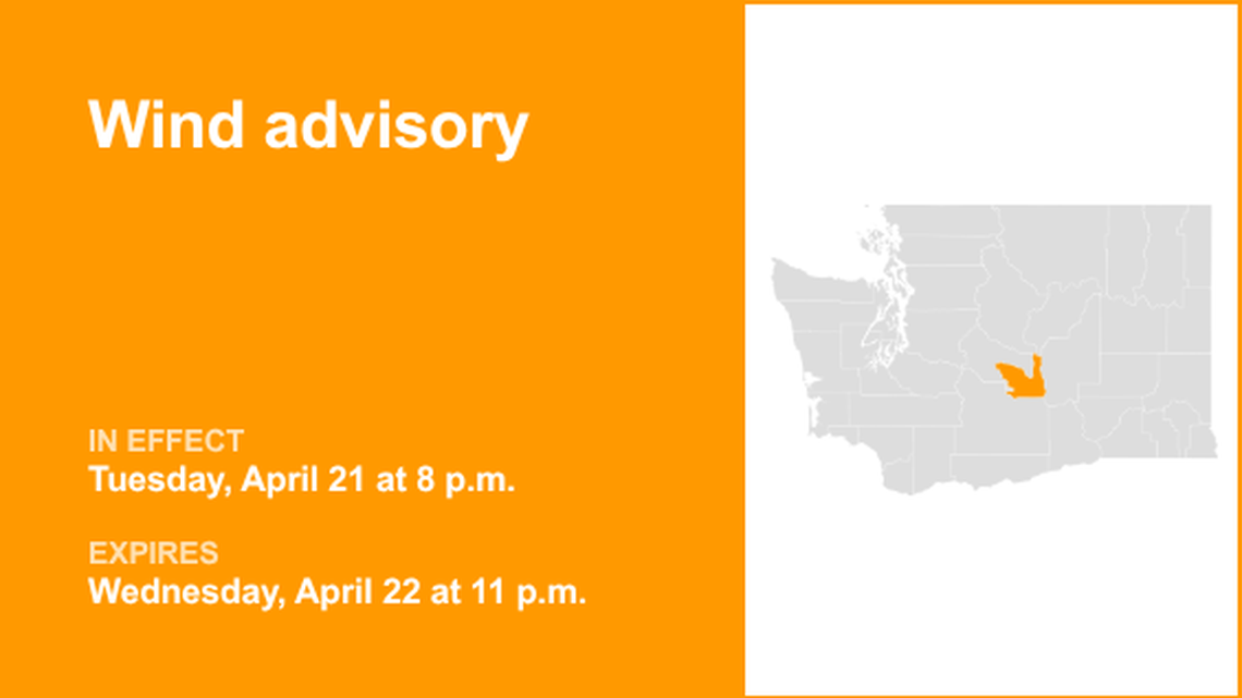 unitedrobots photography