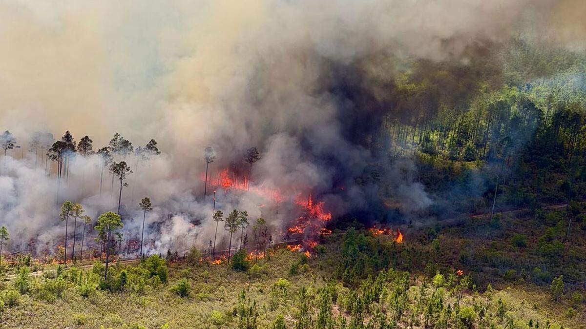 A wildfire burns near Bostwick, Florida, amid dangerous fire conditions statewide. 