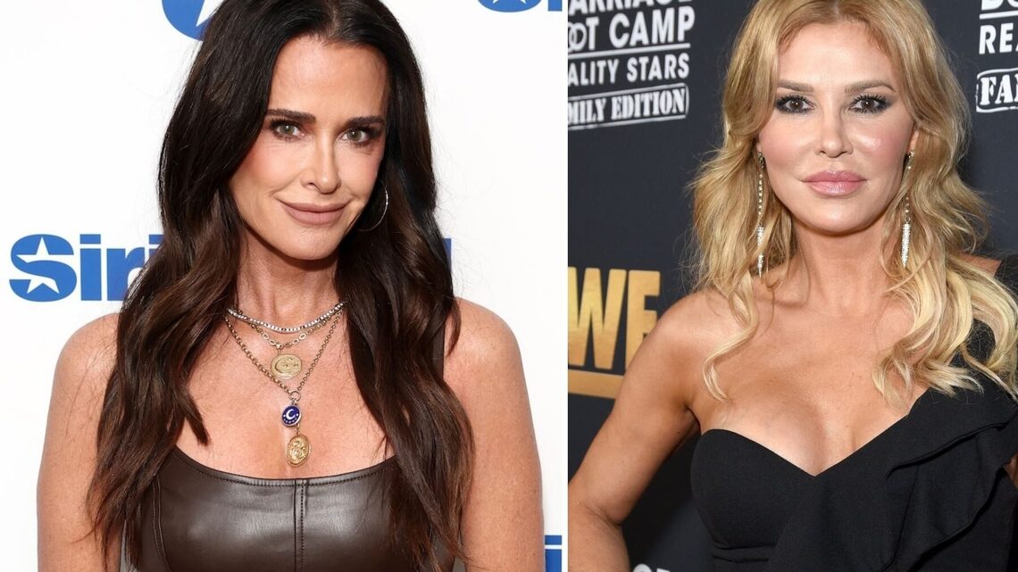 Kyle Richards and More Housewives Donate to Brandi Glanville's GoFundMe 