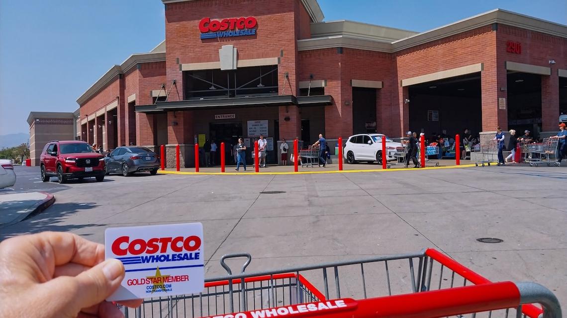 Shark's Portable Stainforce System is a Pet Parent's Dream Tool, And It's at Costco 