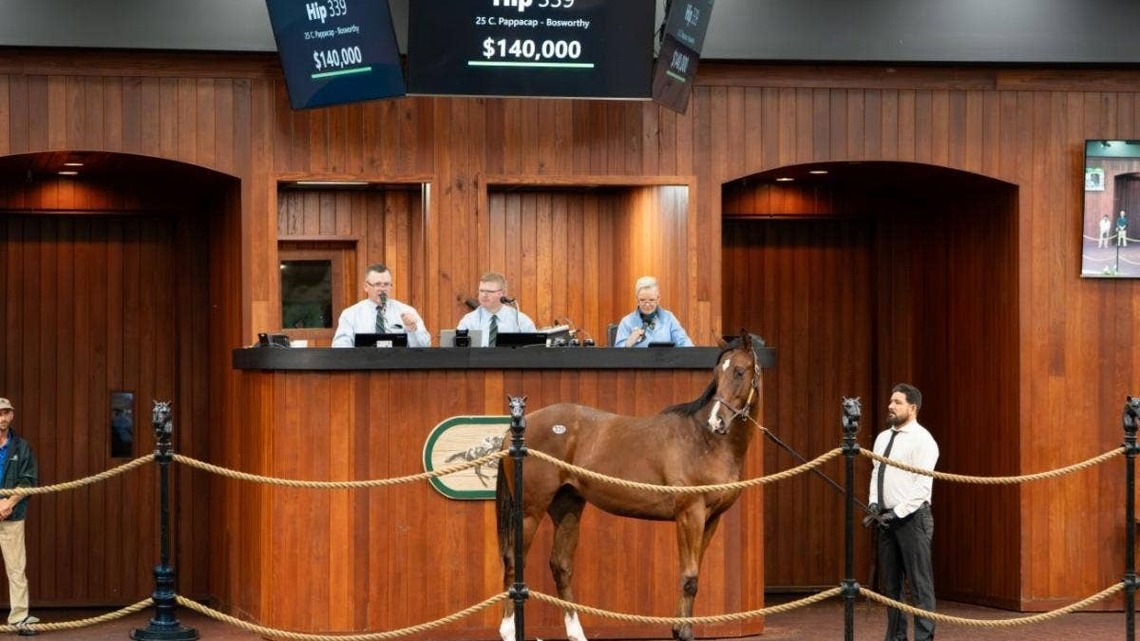 OBS October Yearling Sale Concludes With Gains In Average, Median 
