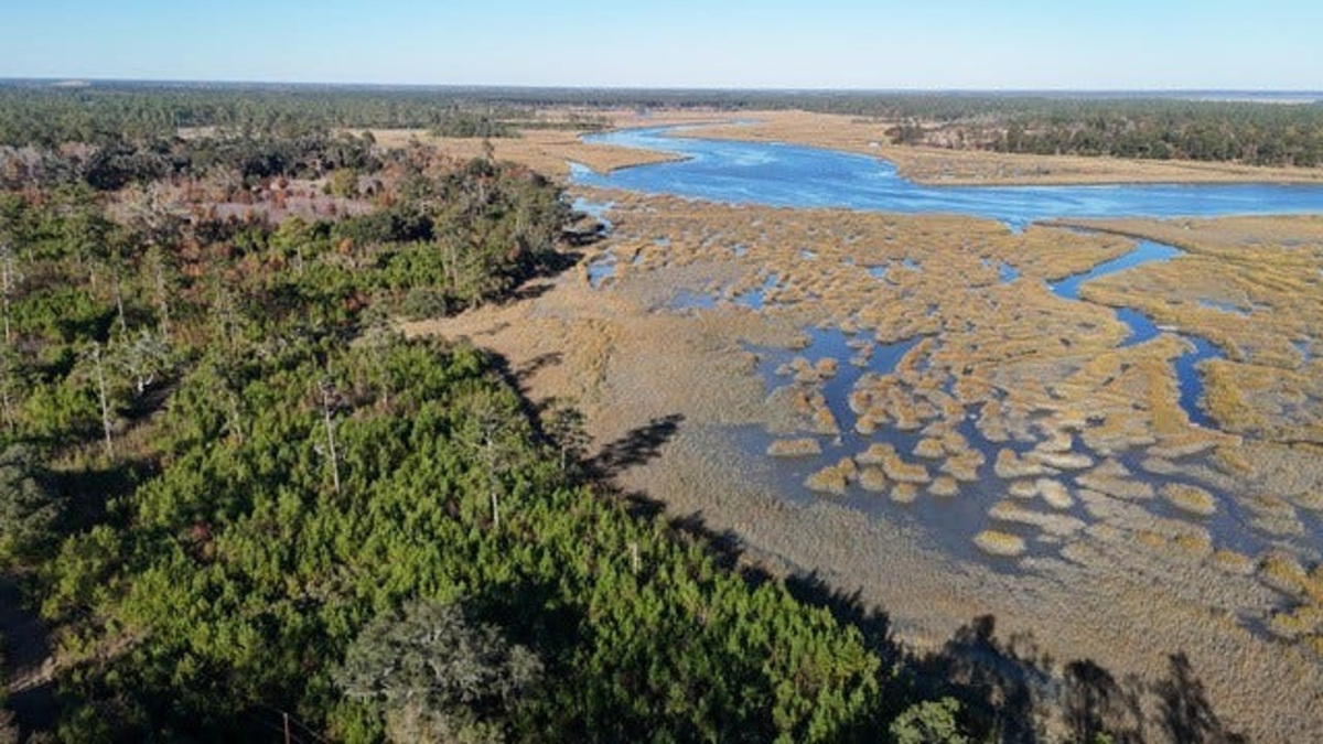 Chelsea Plantation to become state forest
