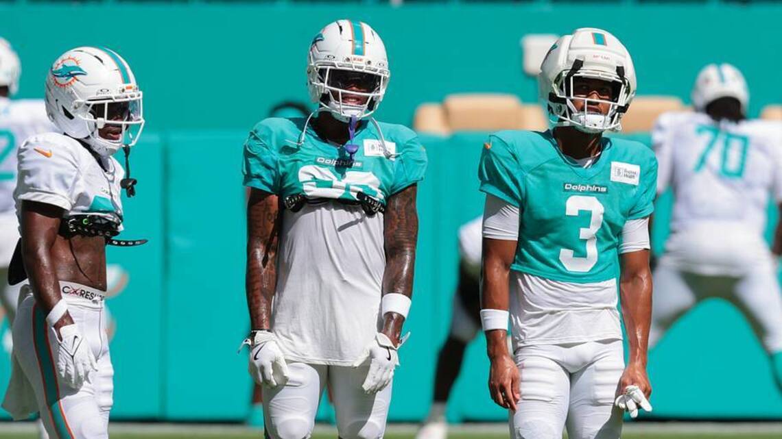 Six Dolphins Training Camp Winners, Six Camp Losers (And Two Who Were Both)