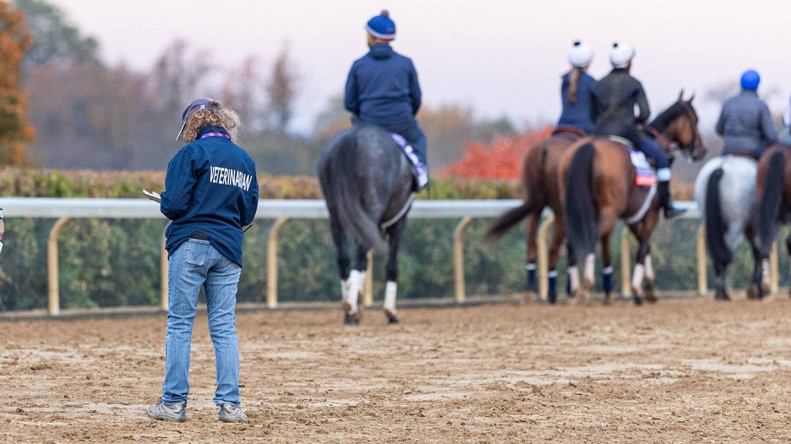 More Than A Race-Day Exam: Inside The Breeders' Cup Veterinary Review Process 