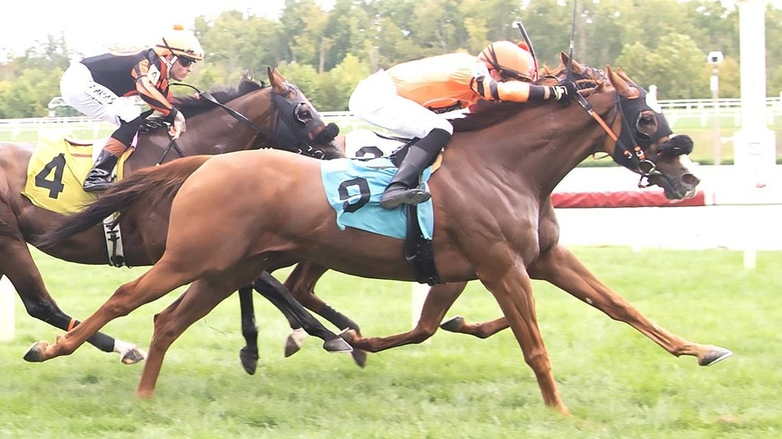 Megan Salzman Wins First Race As Trainer At Laurel Park