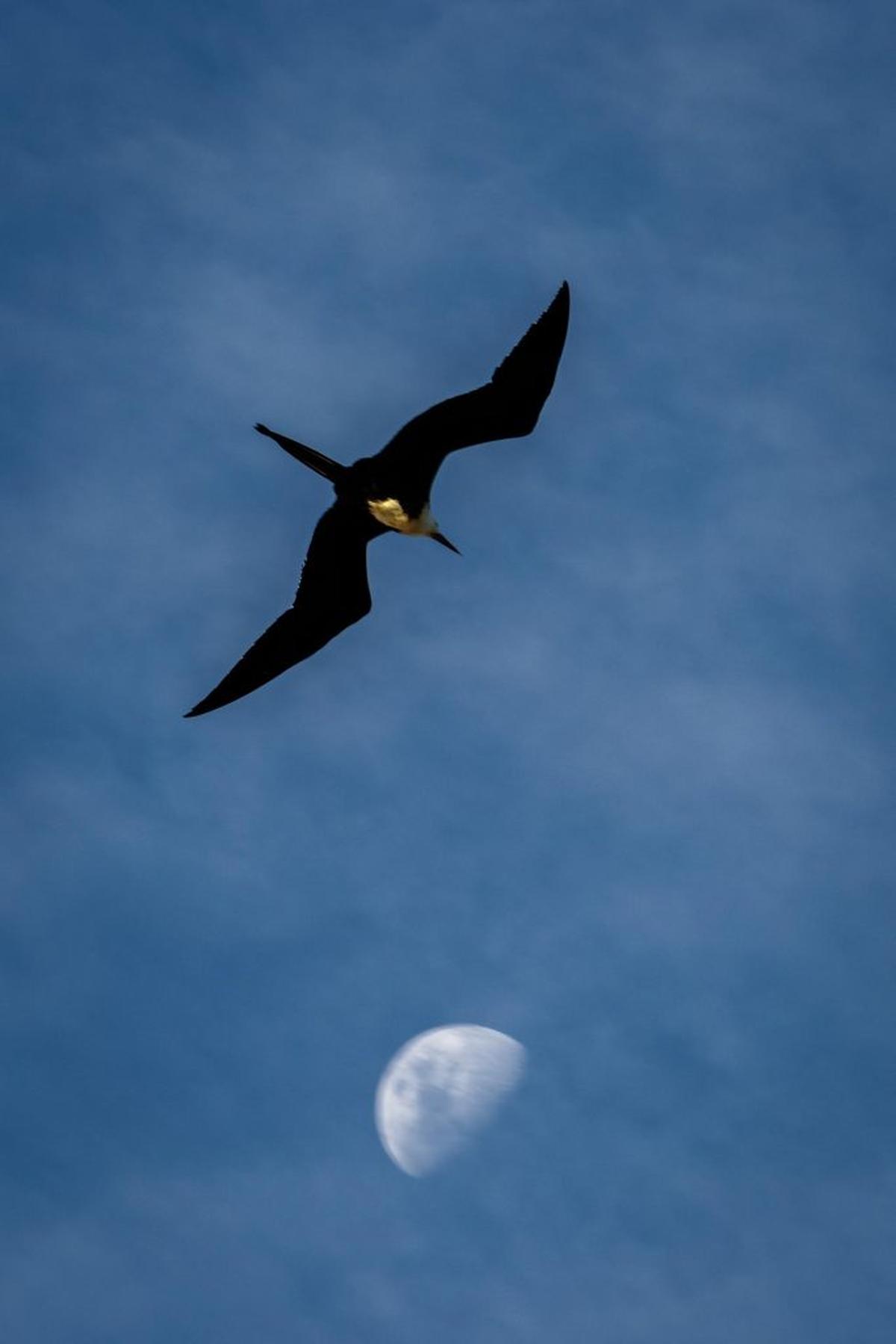  (Photo by Wallace Silva via Pexels) 