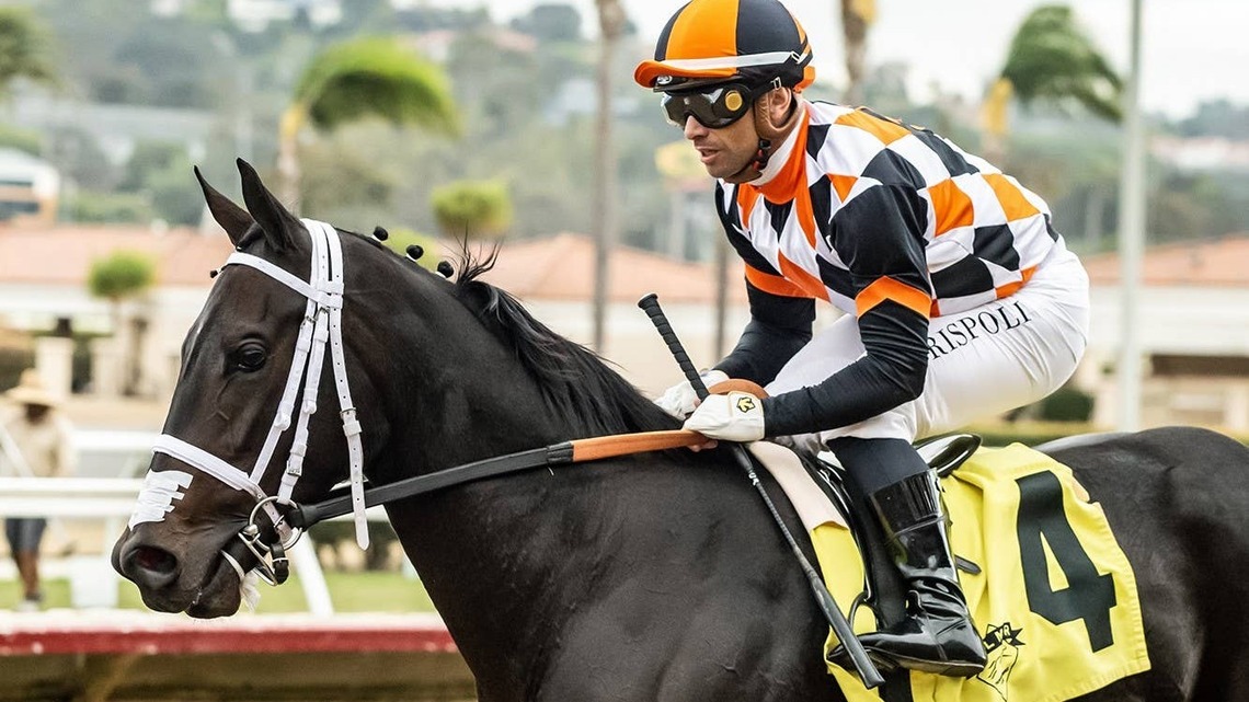 Vanta Tries To Remain Unbeaten In Sufer Girl Stakes 