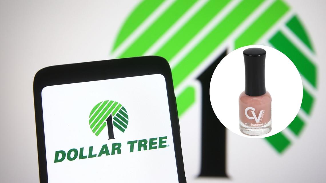 How To Recreate The Met Gala's Many Shades of Nude at Dollar Tree