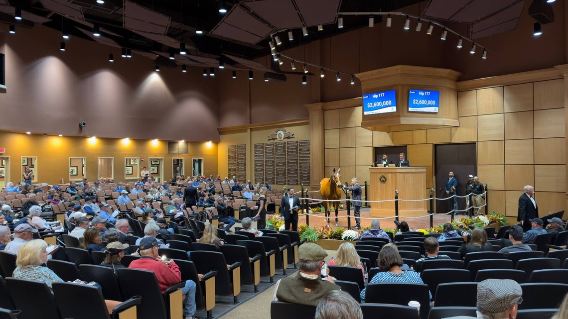 First Supplemental Entries Added To 2026 Fasig-Tipton November Sale 