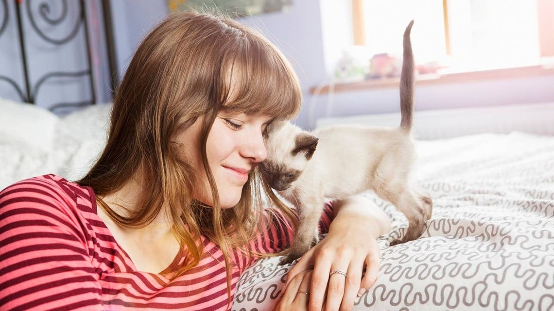 5 Traits That Prove Your Cat is One of Your Most Loyal Companions, According to Experts 