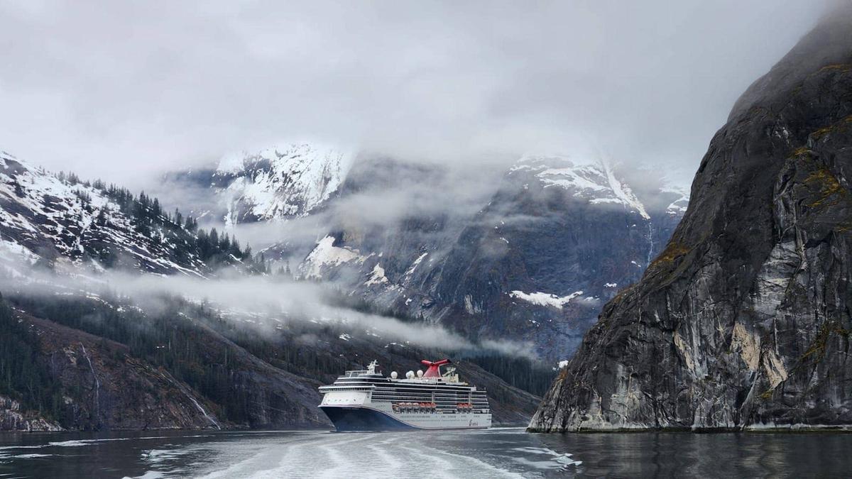  Carnival's Alaska cruises offer opportunities to see wildlife from the ship and in ports of call. 