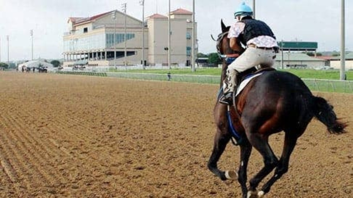 Texas Racing Commission Reviewing 22 Licensing Tests; Affected Trainers Unable To Enter  