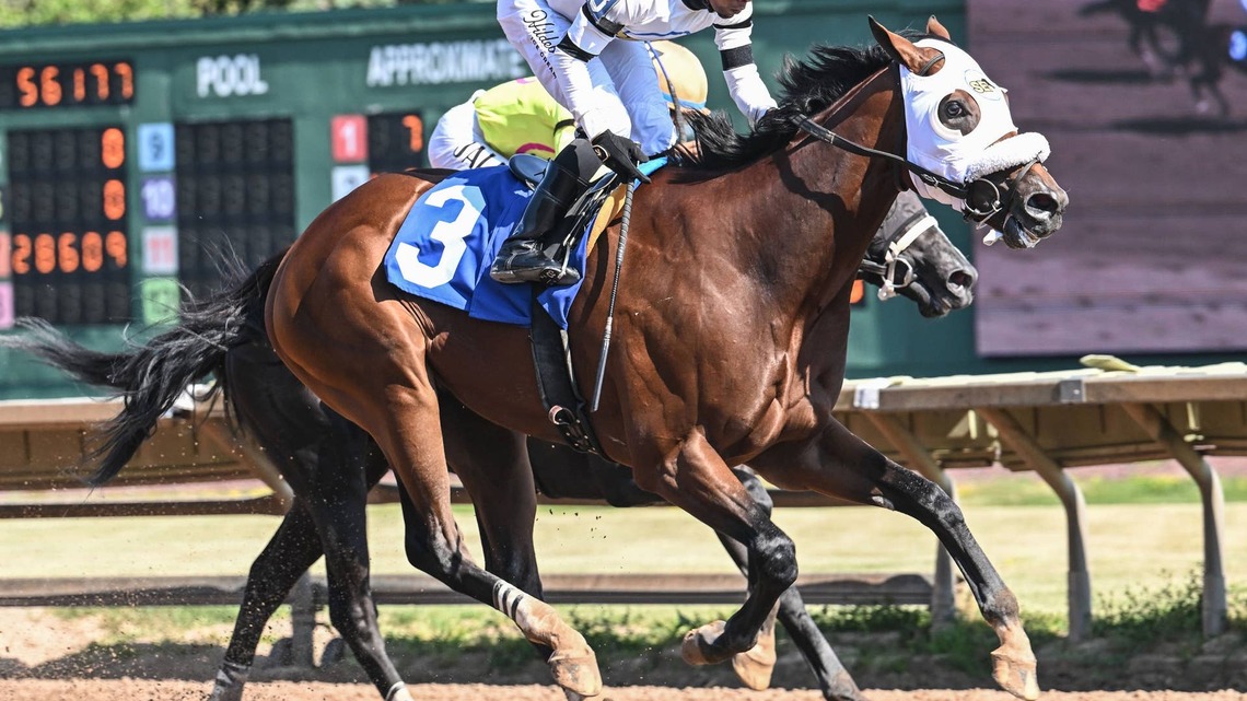 ‘One Step At A Time': Albany Stakes Could Set Talk To Me Jimmy Up For Pennsylvania Derby 