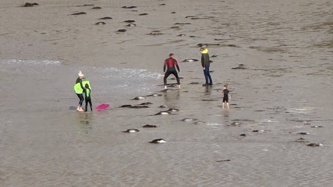 Storm Austen Chaos: Cornwall Beach Fight Erupts After Family Ignores Red Flag (Video) 