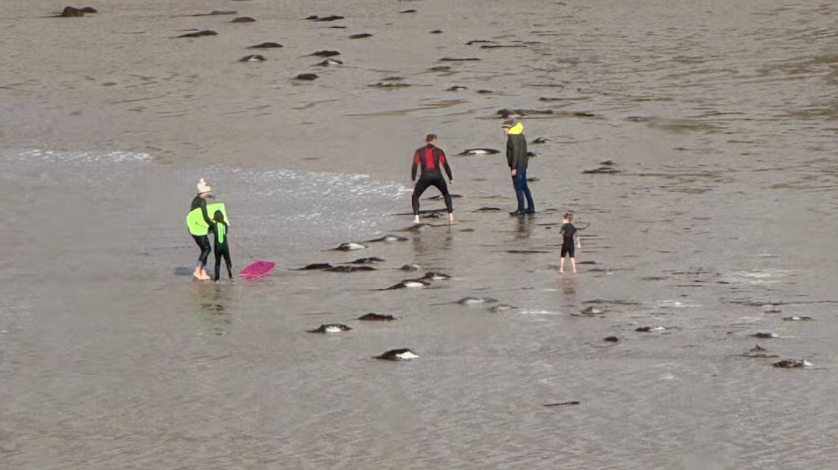 Storm Austen Chaos: Cornwall Beach Fight Erupts After Family Ignores Red Flag (Video)