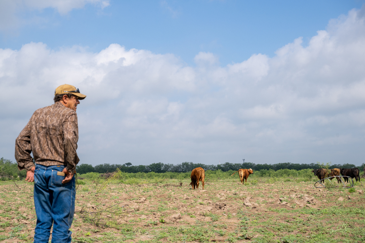  Farmer Randy Edwards looks out towards his cattle on June 02, 2026, in Quemado, Texas. Over the past two years, prolonged drought has forced Edwards to shrink his herd from 100 heads of cattle to just four. (Photo by Brandon Bell/Getty Images) 