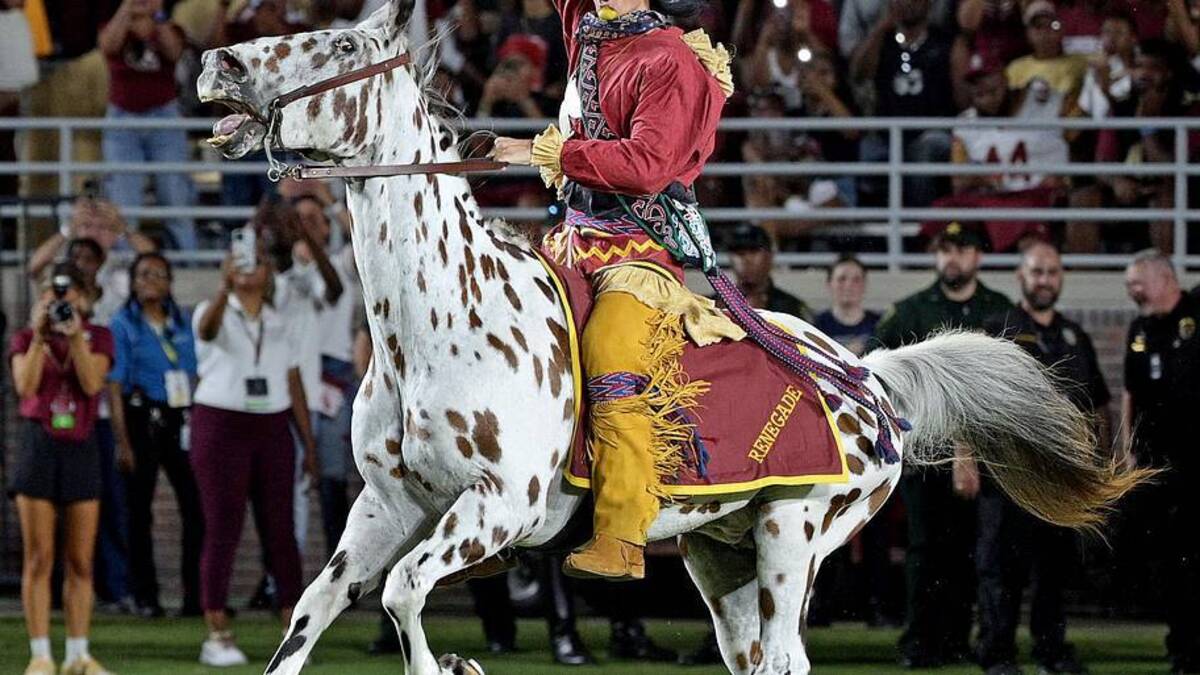  Sep 9, 2023; Tallahassee, Florida, USA; Florida State Seminoles symbols Chief Osceola and Renegade take the field during the game against the Southern Miss Golden Eagles at Doak S. Campbell Stadium. Mandatory Credit: Melina Myers-Imagn Images | Melina Myers-Imagn Images 