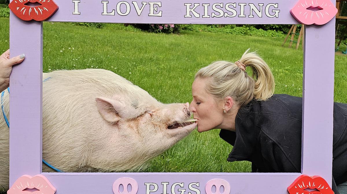 Gilbert the Party Pig makes a fun photo. (Courtesy of Michelle and Terry Burns/TNS)