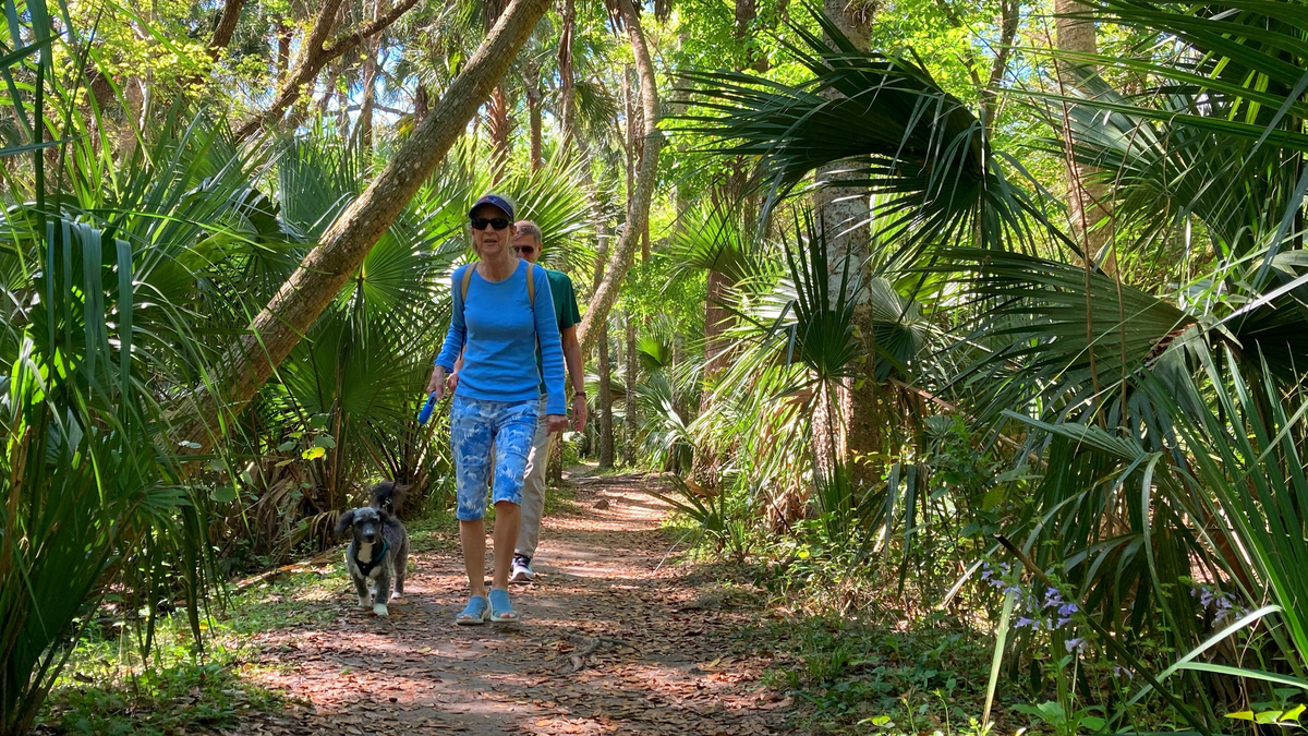 A couple hikes at Seminole County, Florida's Black Bear Wilderness Area. (Martin E. Comas/Orlando Sentinel/TNS)