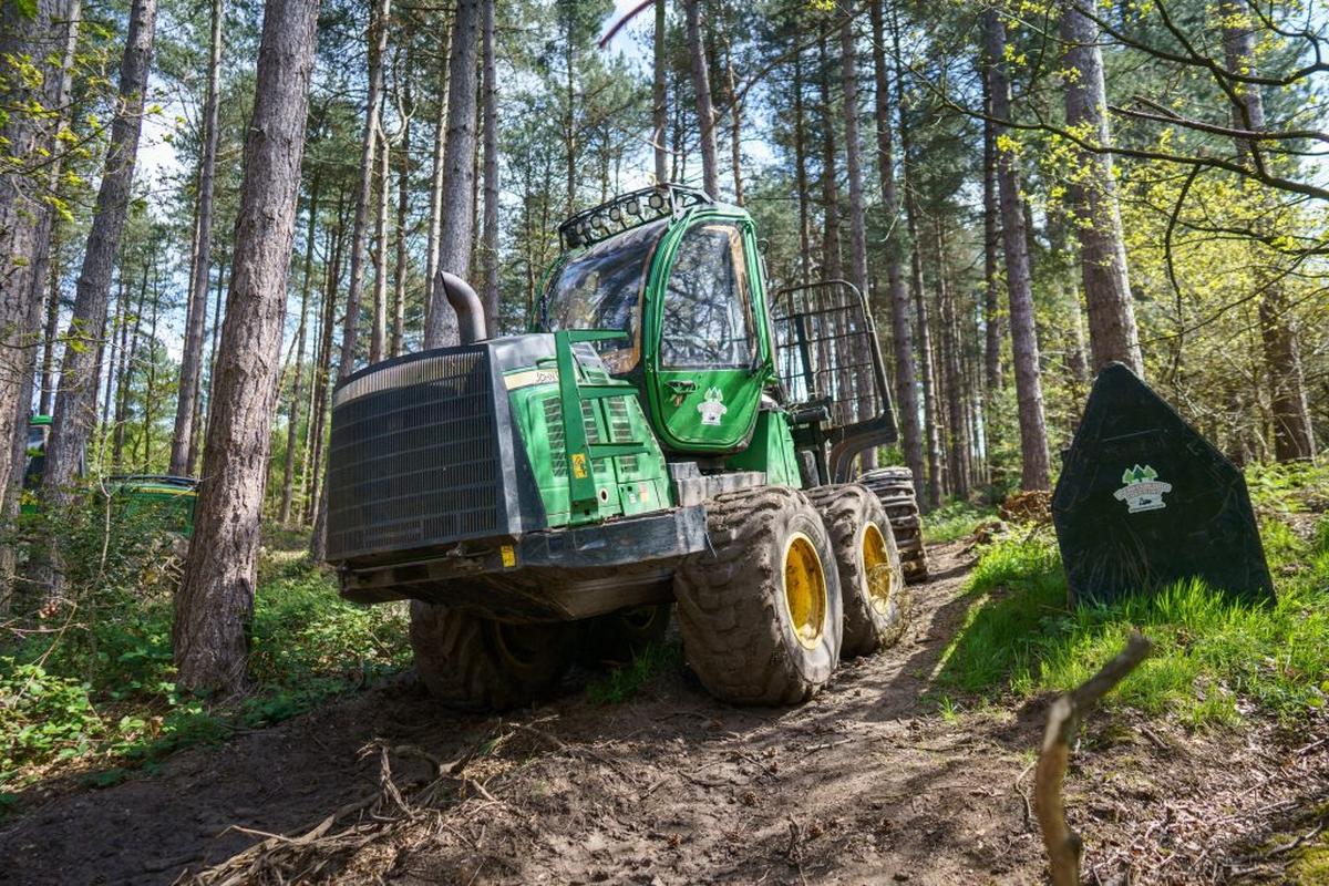  Machinery used to cut down the trees. (Tom Maddick via SWNS) 