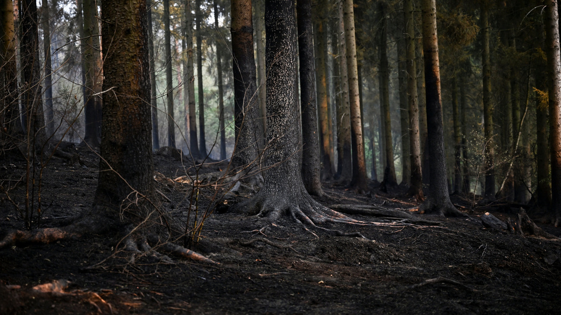 Analysis-Climate damage: the next hit to Europe's public finances