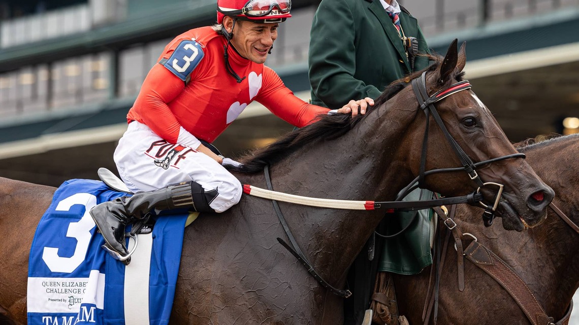 Bloodlines Presented By Walmac Farm: Success Runs In The Family For QEII Winner Tam Tam 