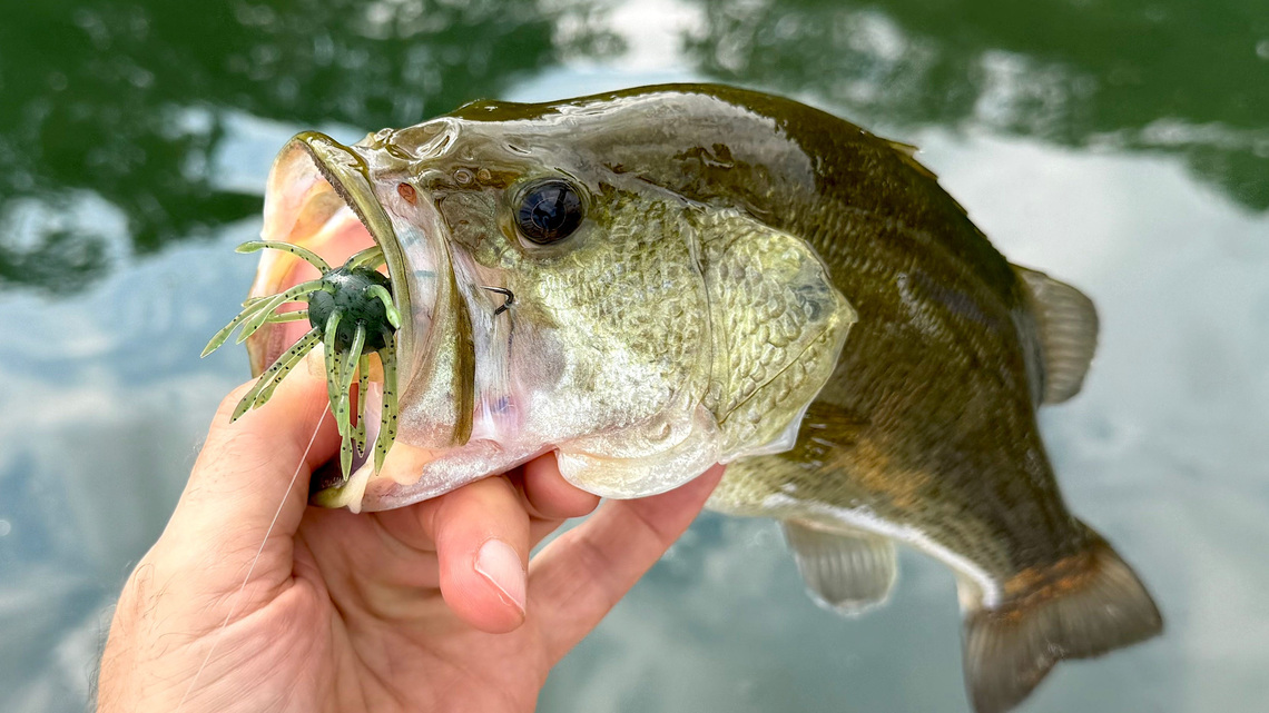 2 Alabama lakes rank among South's best bass fishing spots 