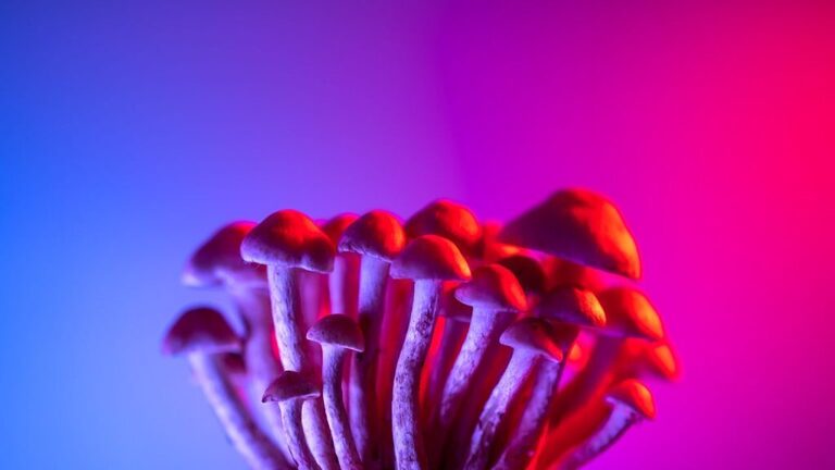 Can magic mushrooms help ease parenting stress?