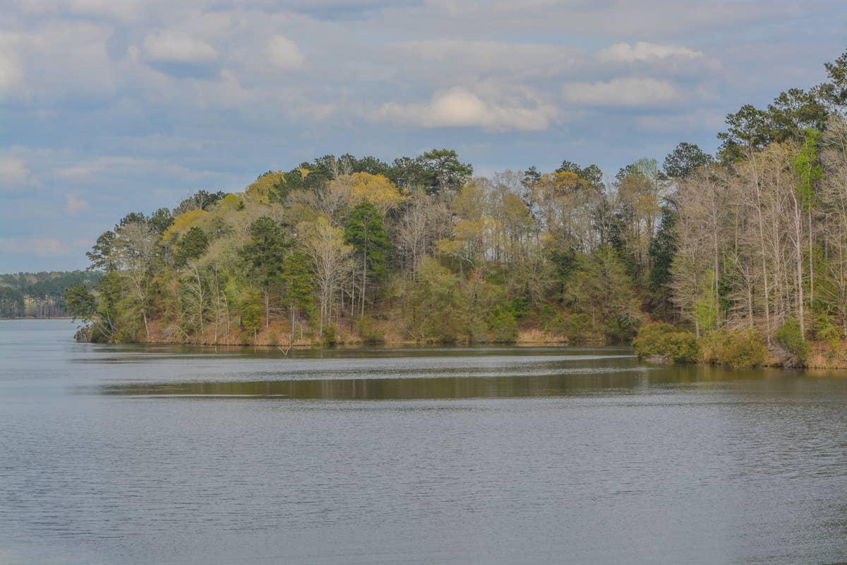  Homochitto National Forest is an active snake location in Mississippi.