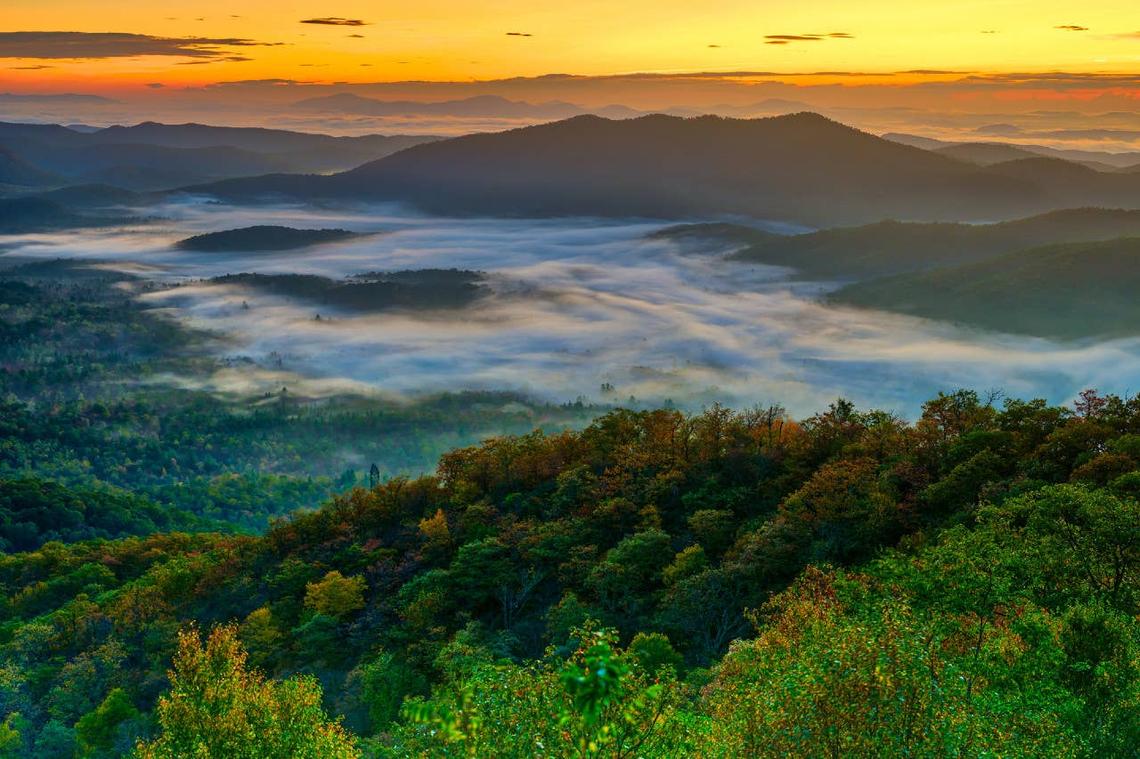  Rattlesnakes live throughout Pisgah National Forest. 
