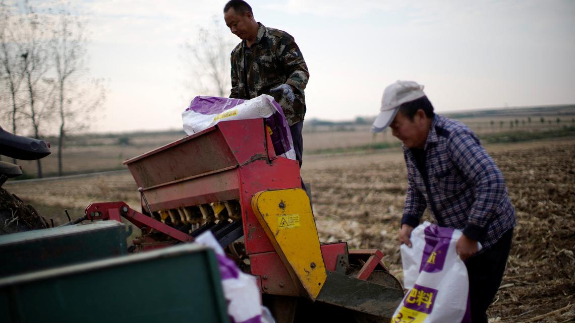 China allows fresh urea exports amid Iran war-fuelled fertiliser crisis, sources say 