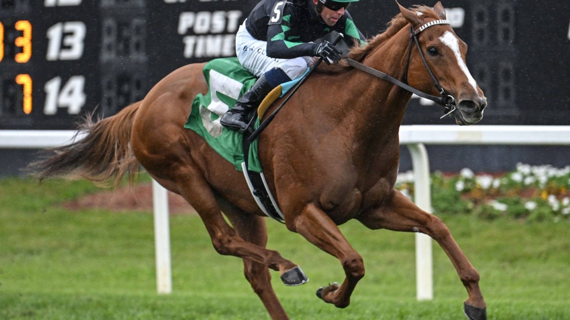 Tampa Bay Downs Moves Tampa Bay Stakes, Endeavour To Feb. 6 