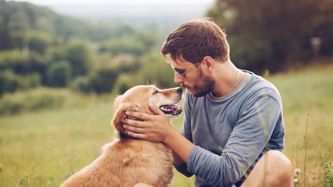 7 Signs Your Dog Is Your Forever Wingman, According to a Trainer