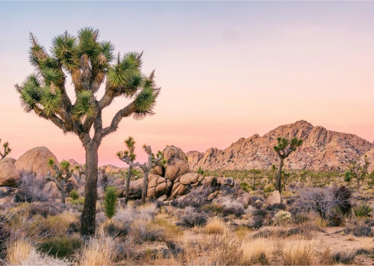  Dennis Silvas // Shutterstock 