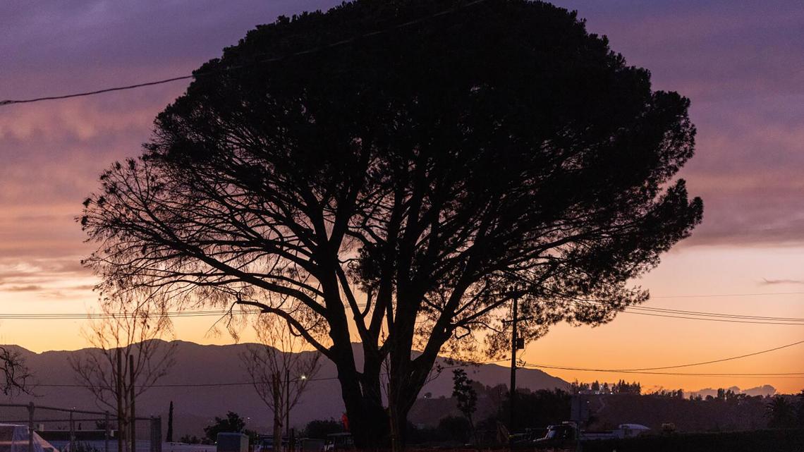 Angry Altadena residents ask officials to halt Edison's undergrounding work 