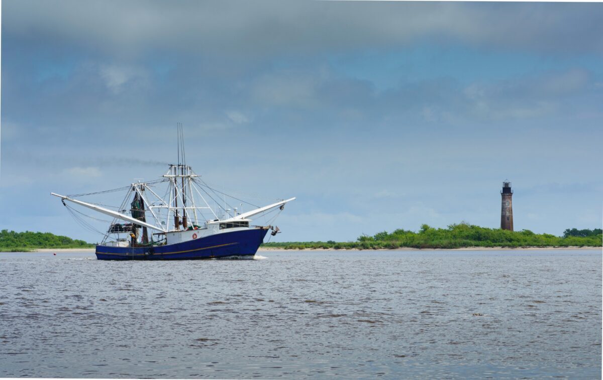 When is shrimp season in the South? | Tacoma News Tribune
