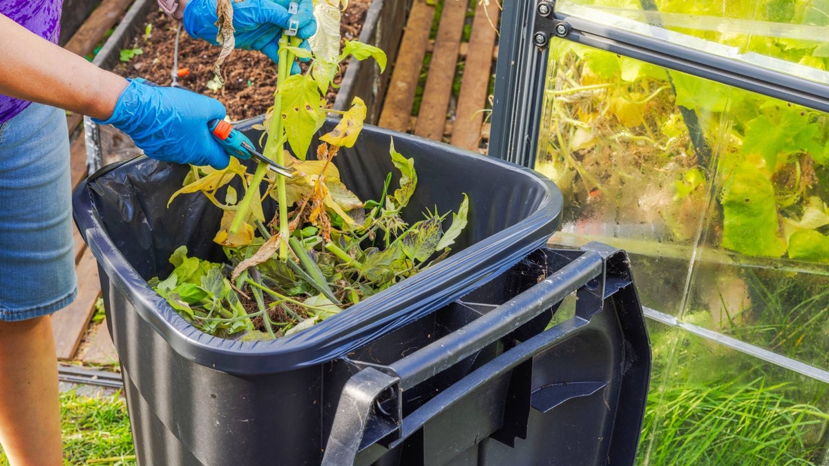 Planning to Use Your Spent Tomato Plants for Composting? Here's Why You Shouldn't