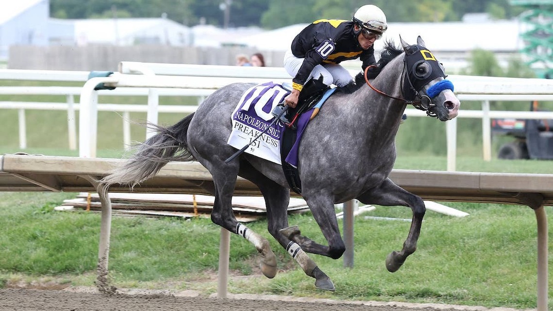 Chad Summers Leaning Toward Breeders' Cup Classic For Napoleon Solo 