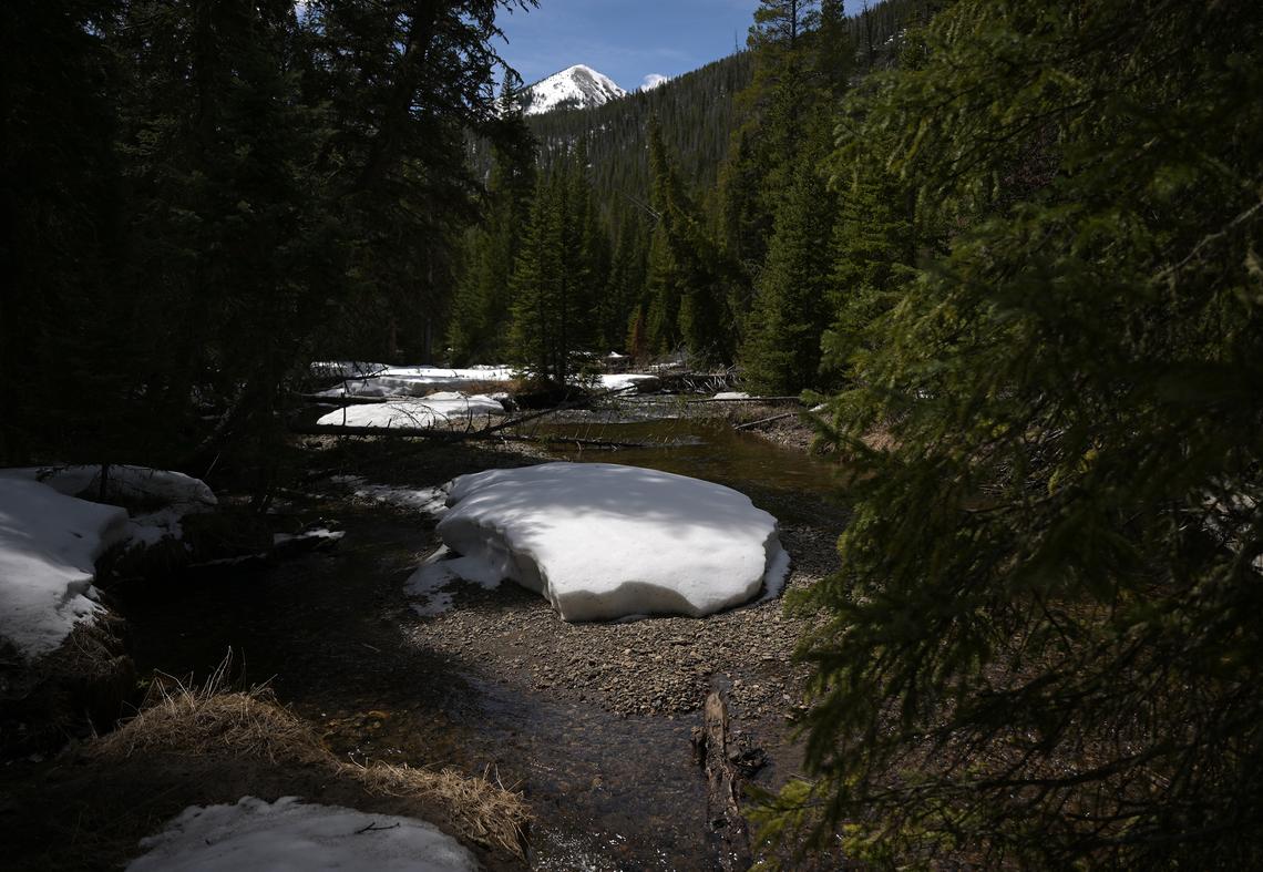 RJ Sangosti/The Denver Post/TNS