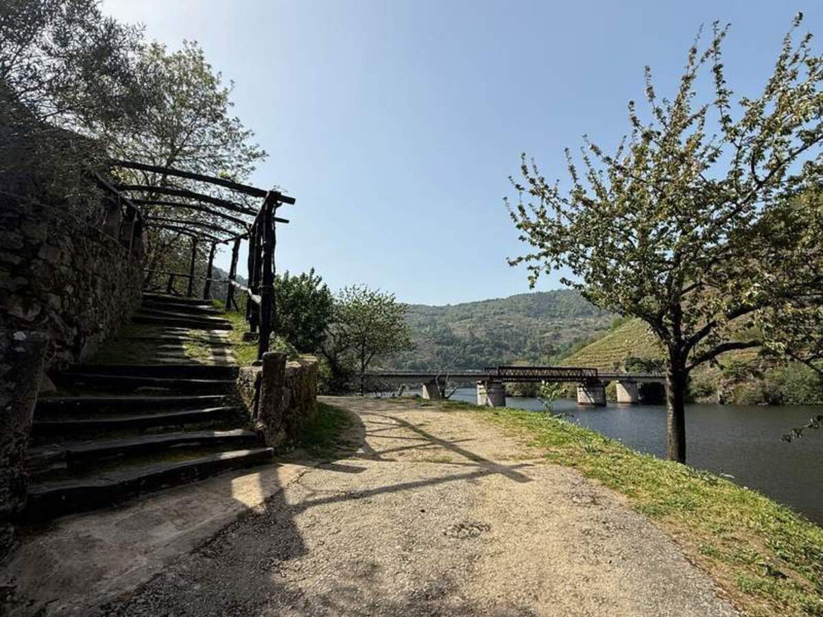  A boat ride leads you to the entrance to the Sacra Activa vineyard and tasting room. Photo credit: Margot Black 