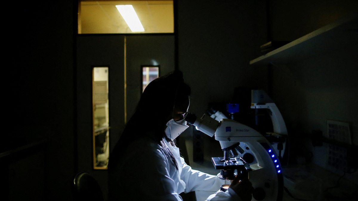 FILE PHOTO: A scientist looks through a microscope in a laboratory, in Brasilia, Brazil, June 30, 2021. REUTERS/Adriano Machado/File Photo