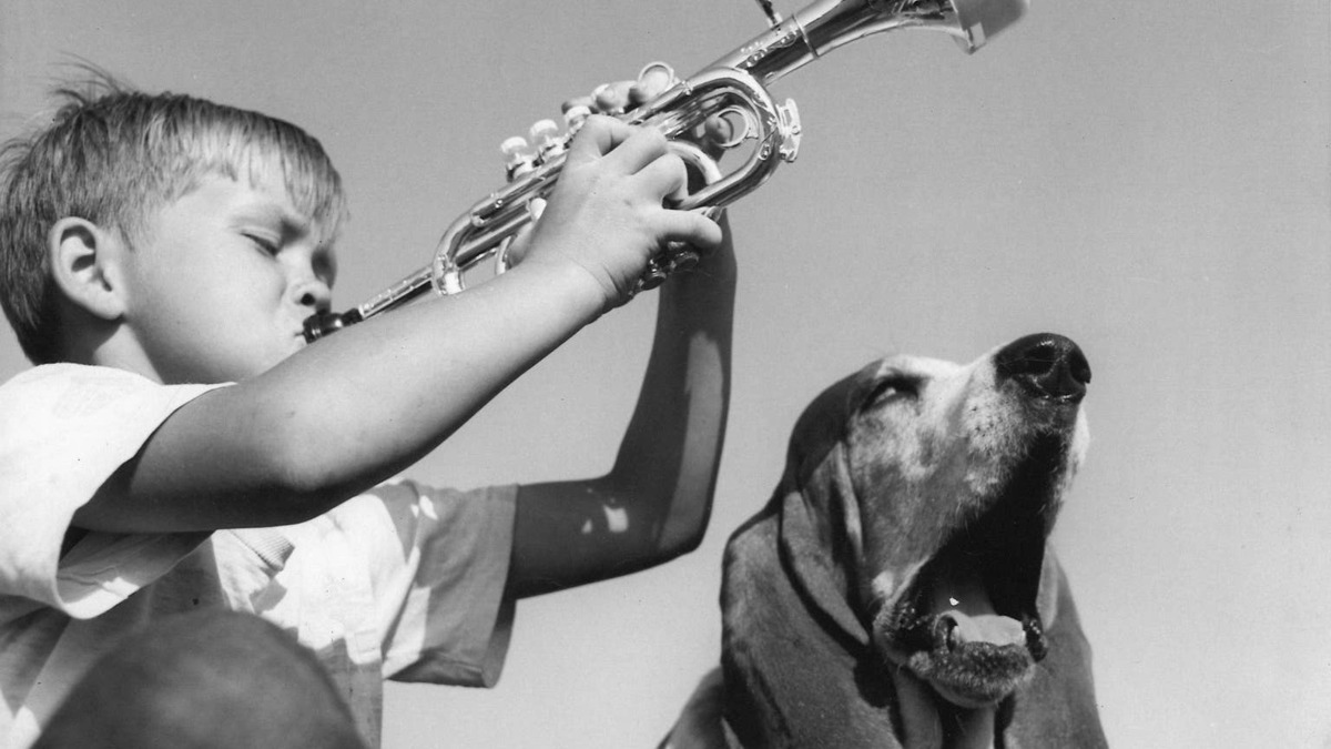 Boy playing trumpet with dog howling https://www.flickr.com/photos/marshallpubliclibrary/54072168376.
