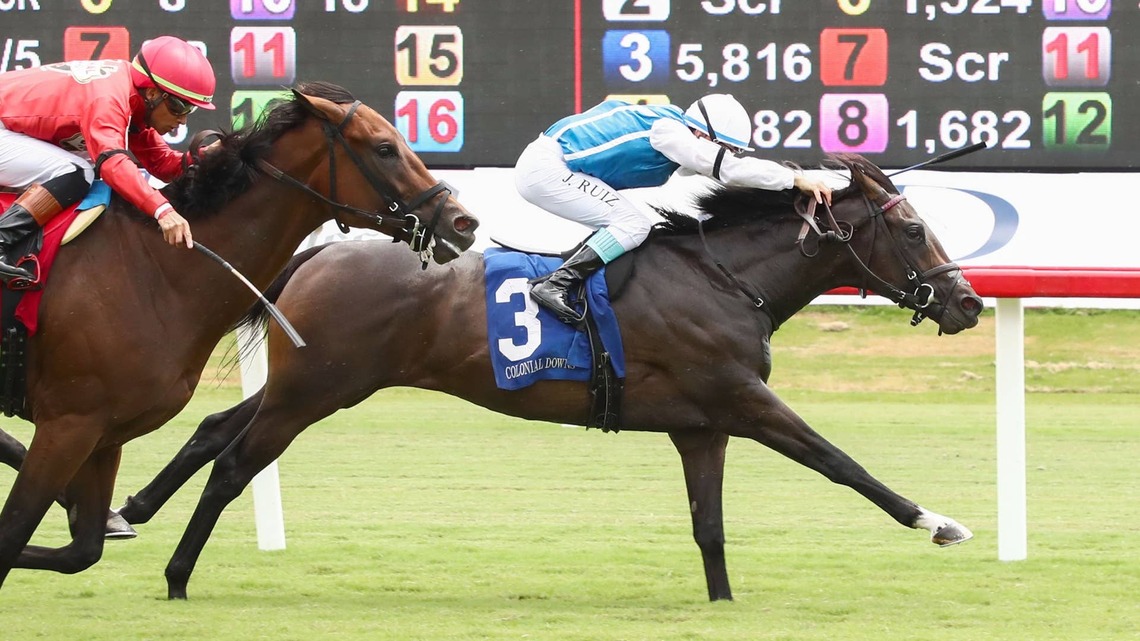 Graham Motion Trainees Feature In Colonial Downs' Kitten's Joy, Rosie's Stakes 