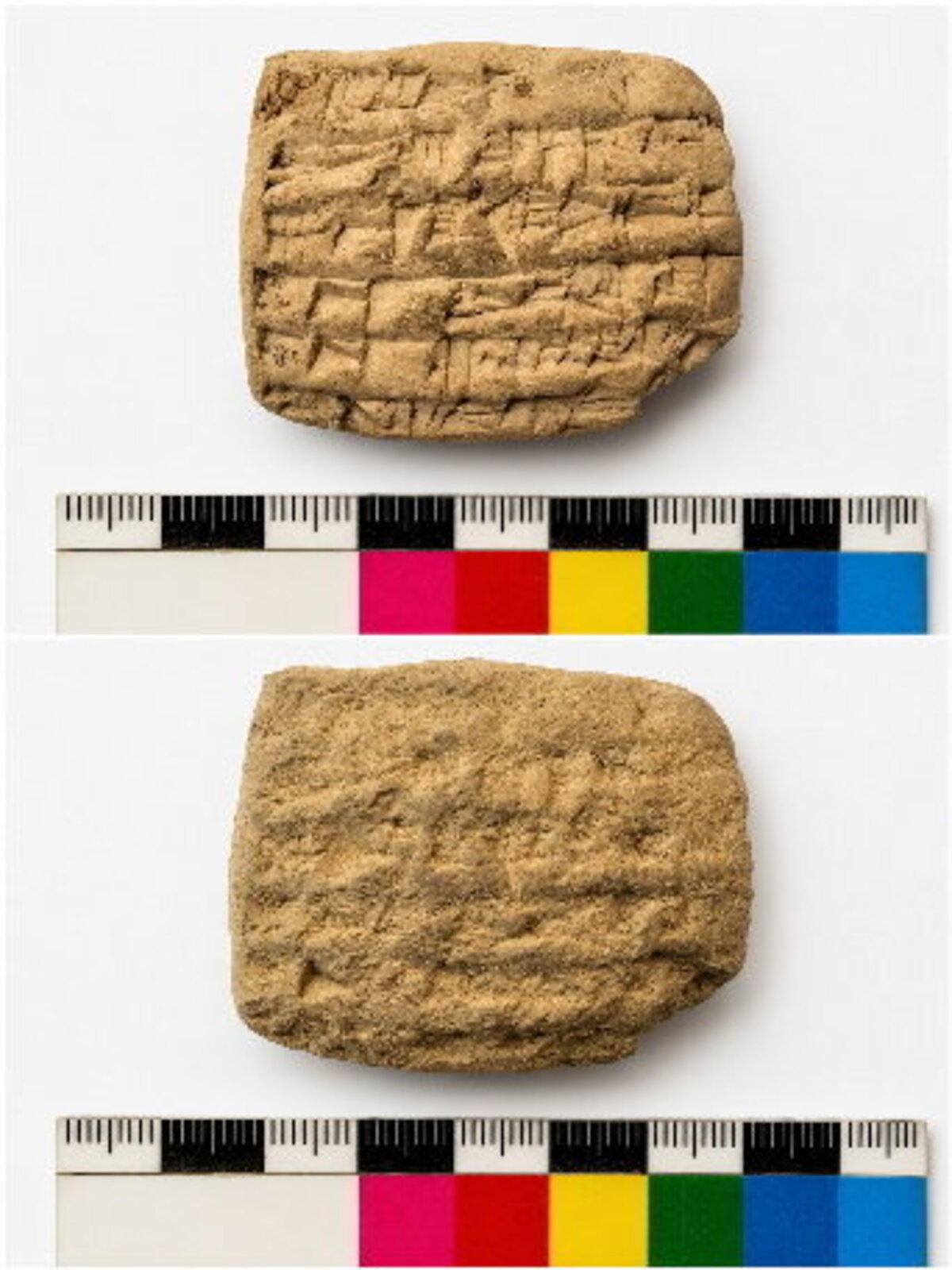  A cuneiform tablet from the Lower Town East palace is shown before and after expert conservation. The tablet is part of a group of administrative texts discovered during excavations at Kurd Qaburstan. (Carmen Gütschow / Kurd Qaburstan Project via SWNS) 